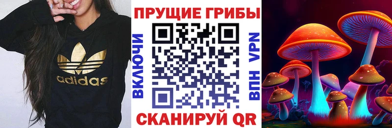 Псилоцибиновые грибы GOLDEN TEACHER  Зеленоградск 